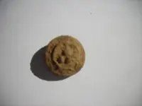 DSCN2278.webp
