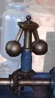 flyball.webp