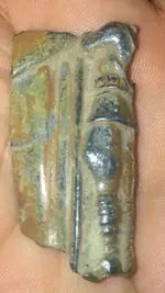 ImageUploadedByTreasureNet.com1456074724.869513.webp
