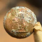 HELENA BUTTON 1kb.webp