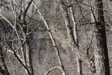 Ride Feb 20 2016 018Ajpg.webp