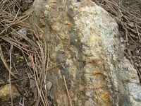 vein 5-17-14 015.webp