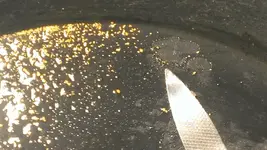 flour gold-8.webp