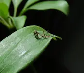 DSCN0001.webp