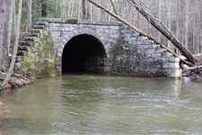 ImageUploadedByTreasureNet.com1454675593.480742.webp