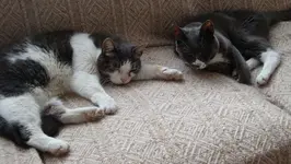 DSC00872 (640x362).webp