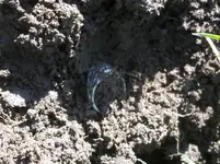 100_4010.webp