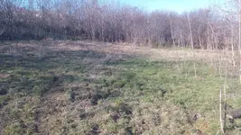 IMG_20160207_133951.webp