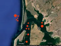 Bahia de Agiabampo-Nx.webp