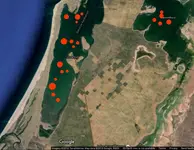 Bahia de Agiabampo-Sx.webp