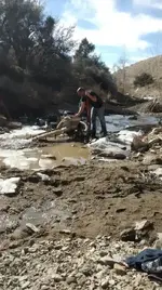 1457060948772.webp