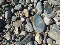 DSCN2338.webp