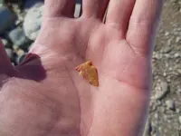 DSCN2339.webp