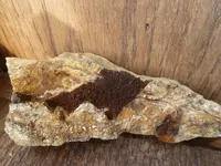 rock 10-2-13 001.webp