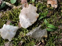 DSCN1304.webp