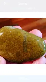 ImageUploadedByTreasureNet.com1456687490.594908.webp