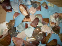 100_4269.webp