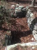 ImageUploadedByTreasureNet.com1459559749.052241.webp