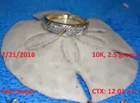 DocBeav 2016 Gold Ring #3.webp