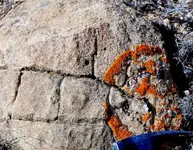 SandstoneMarkingscrop.webp