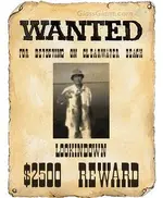 wantedposter (1).webp