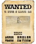 wantedposter (2).webp