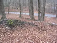 DSCN0468.webp