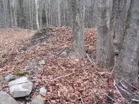 DSCN0469.webp