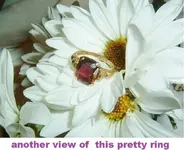 DSCF3531.webp