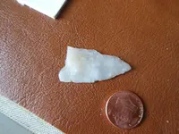 DSCN2344.webp