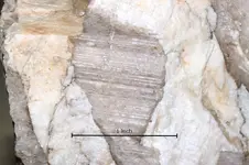 Crystals Rock from Cuyamaca Woods Cuyamaca Mts CA Mar 2016 with scale copy.webp
