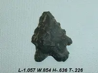 12-A-446 (938).webp