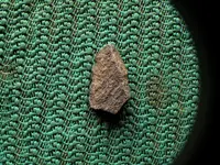 DSCF1070.webp