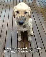 ImageUploadedByTreasureNet.com1459615397.525673.webp