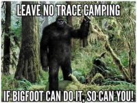 Leave No Trace.jpg