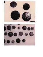 buttons 5.webp