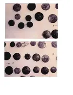 buttons 1.webp