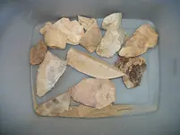 100_4327.webp