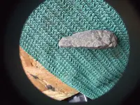 DSCF1081.webp