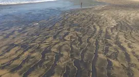 Blacksand.webp