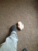 image3.webp