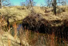 creek 022816 A.webp