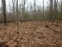 P2210021.webp