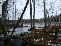 P2210015.webp