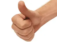 untitled.webp