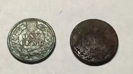 penny back.webp