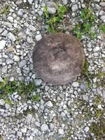 ImageUploadedByTreasureNet.com1460211648.876040.webp