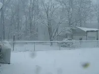 DSCF0012.webp