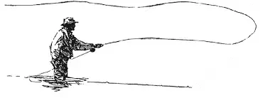 fly.webp fly.webp