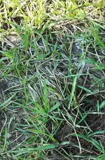 20160326_153135-1.webp